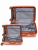 ChatGPT Image Sep 21, 2026 at 01_00_58 PM (3)